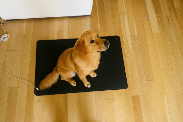 Alfombrilla para Mascotas
